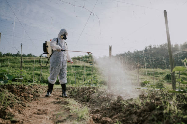 Best Best Pest Control Companies  in Vallejo, CA