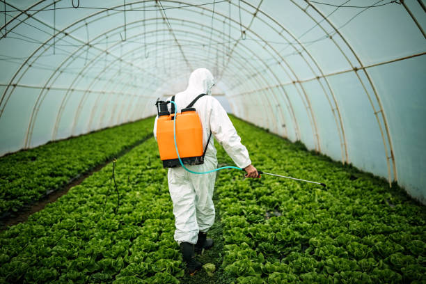 Pest Control Cost in Vallejo, CA