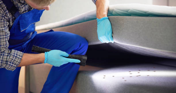 Pest Prevention Services in Vallejo, CA