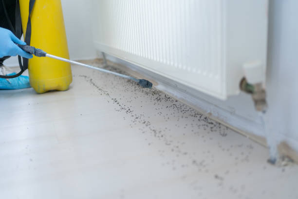 Best Commercial Pest Control Services  in Vallejo, CA
